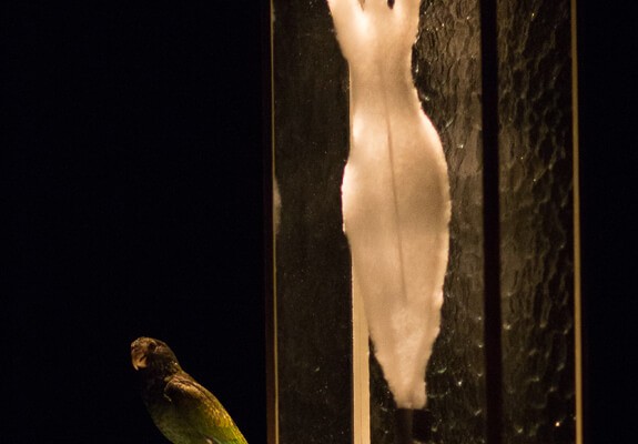 lamaisonvague-creditphoto-christophepean-slideshow01