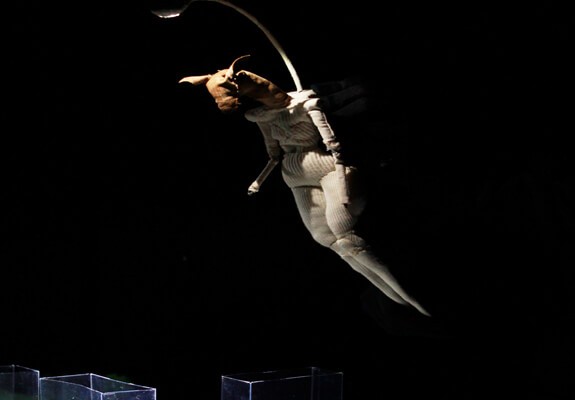 lisieres-creditphoto-sylvainyonnet-slideshow01