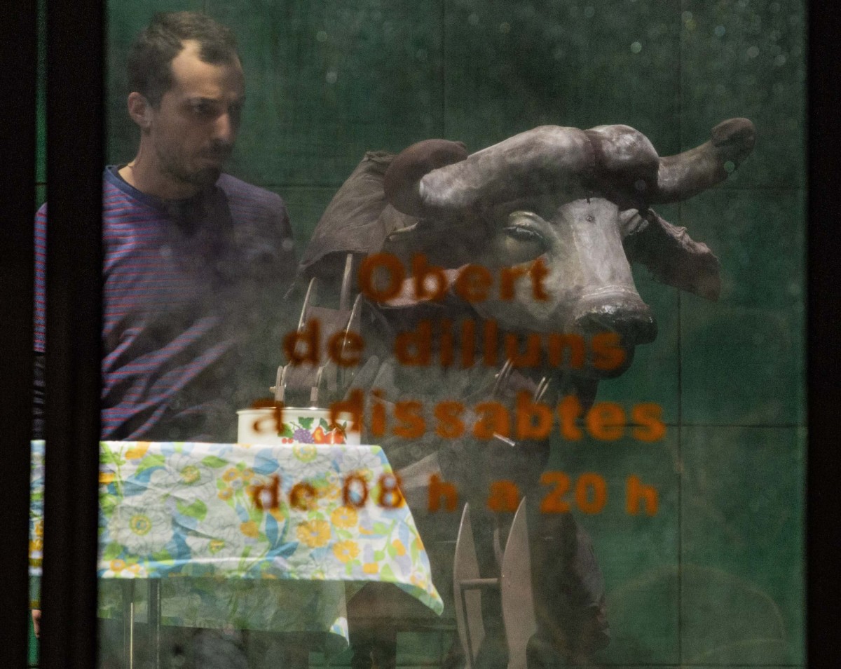 cie-arnica_buffles-une-fable-urbaine-photo-michel-cavalca-4