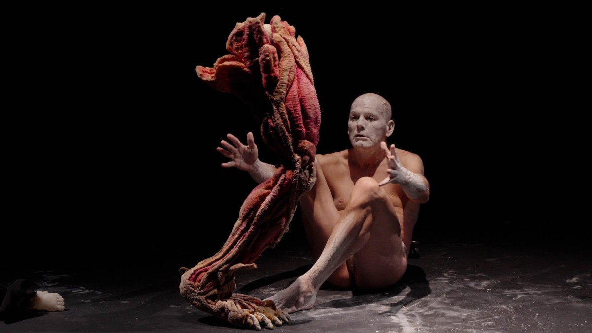 bodyconcertleg-1