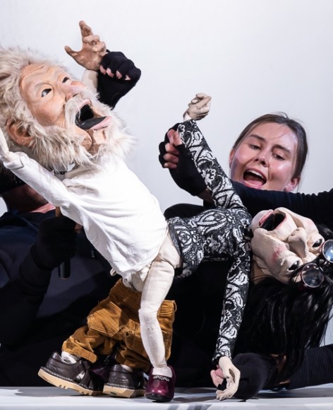 The Sex Lives of Puppets